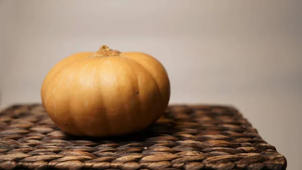 Pumpkin lies on a wicker box