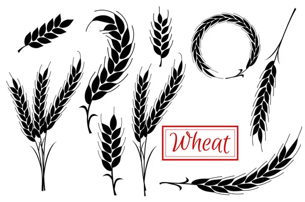 Set Wheat Ears Icons and Logo. Organic wheat, bread agriculture. — Stock Vector