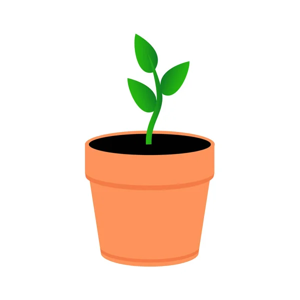 Une jeune plante dans un pot d'orange. Feuilles vertes germent en pot . — Image vectorielle