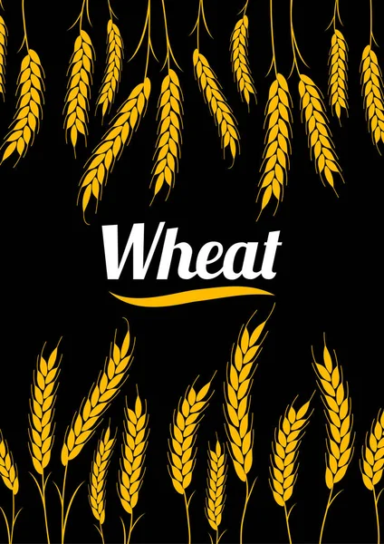 Copertina di design Gold Wheat Ears. Frumento biologico, agricoltura del pane . — Vettoriale Stock