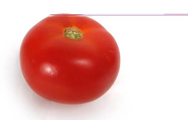 Frisch, rot, Tomate. isoliert auf weißem Hintergrund. Es gibt einen Platz für den Text. — Stockfoto