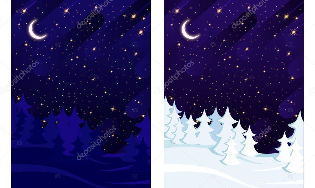 Winter and summer spruce forest on the background of the starry sky.