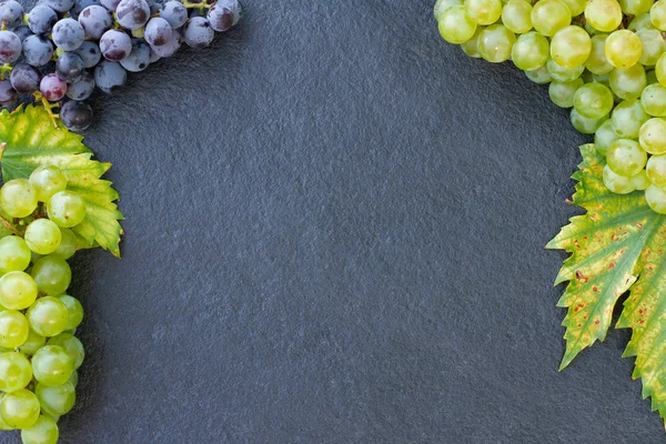 Üzüm taş zemin üzerine. Düz yatıyordu