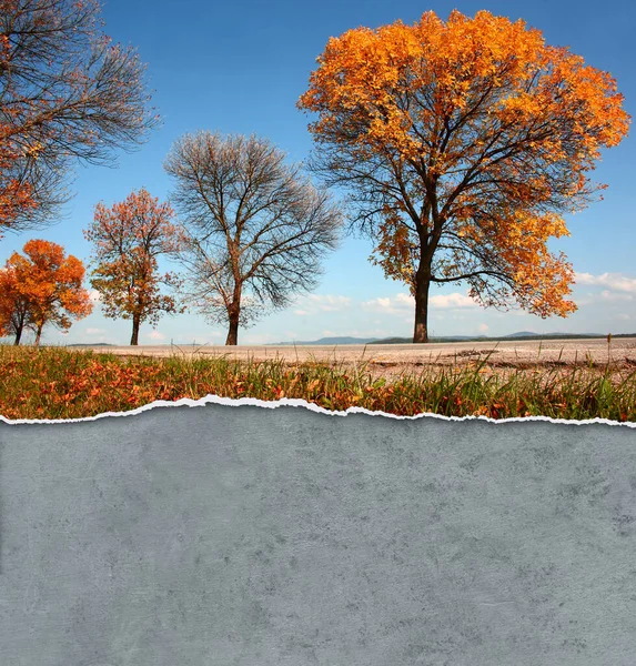 Herbstliche Kurvenreiche Nebenstraße Auf Dem Land — Stockfoto