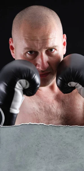 Male Boxer His — Stock Photo, Image