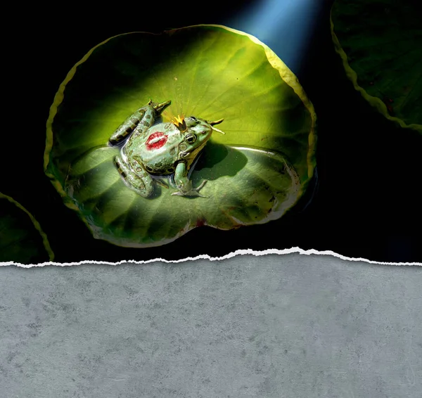 Sahne Işıkları Altında Prensesin Öptüğü Prens Kurbağa Telifsiz Stok Fotoğraflar