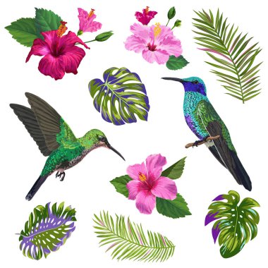 Suluboya sinek kuşu, Hibiskus çiçek ve tropikal palmiye yaprakları. El egzotik Colibri kuş ve çiçek öğeleri çekilmiş desenleri, dekorasyon, tebrik kartları için. Vektör çizim