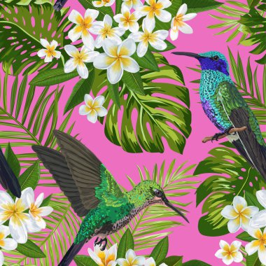 Çiçek tropikal Dikişsiz desen egzotik çiçek ve kuş uğultu. Plumeria çiçek çiçek açan, kuşlar Monstera yaprakları ve arka plan kumaş, duvar kağıdı, Tekstil için. Vektör çizim