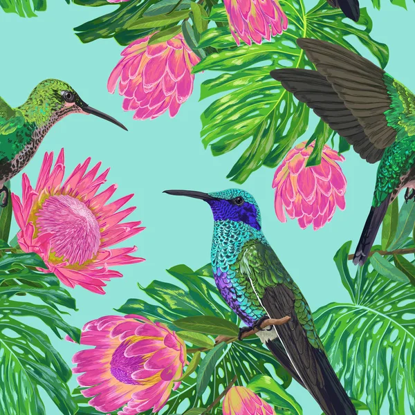 Kwiatowy wzór tropikalnych bezszwowe z egzotycznych kwiatów i Humming Bird. Kwitnące kwiaty Protea, ptaki i Monstera pozostawia tło dla tkaniny, Tapety, tekstylne. Ilustracja wektorowa — Wektor stockowy
