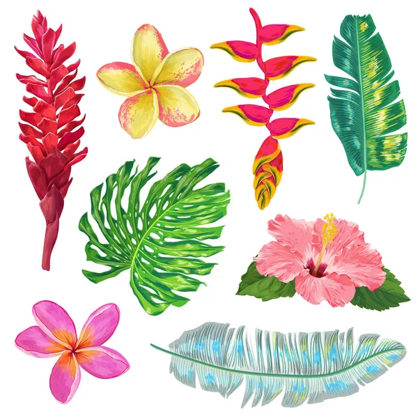 Set de hojas de palmera, monstera y flores exóticas. Elementos florales tropicales para la decoración, patrón, invitación. Fondo botánico tropical. Ilustración vectorial — Vector de stock