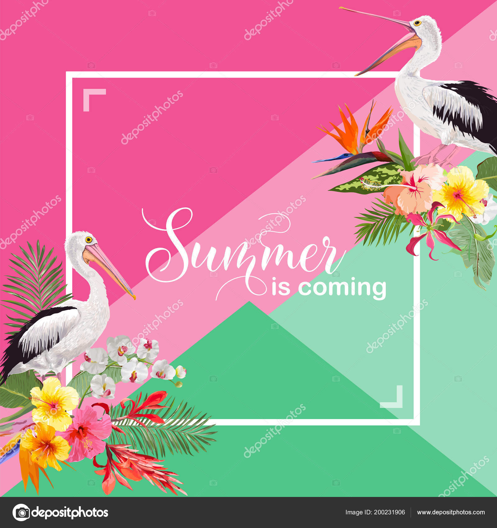 Bonjour Summer Design Avec Plantes Tropicales Et Doiseaux