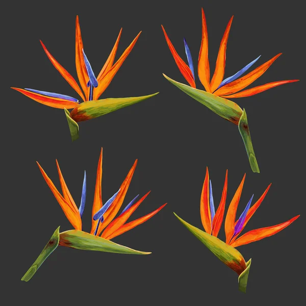 Tropikal çiçek ve yaprakları küme. Egzotik çiçek koleksiyonu. Arka plan, kumaş, düğün davetiyesi, botanik tasarım duvar kağıdı. Vektör çizim