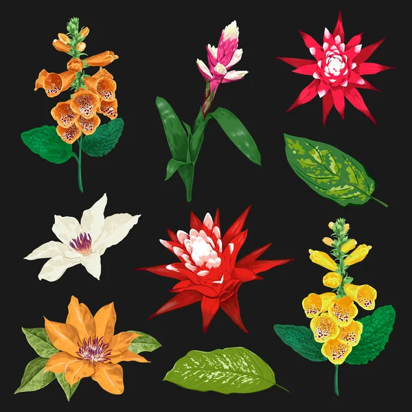 열 대 꽃과 잎 세트입니다. 이국적인 꽃 컬렉션입니다. 배경, 직물, 청첩장, 식물 디자인 벽지. 벡터 일러스트 레이 션 — 스톡 벡터