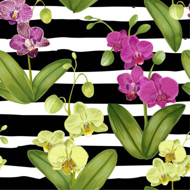 Dikişsiz tropikal desen orkide çiçekleri ile. Kumaş Tekstil, duvar kağıdı, kaydırma için çiçek Background. Suluboya çiçek tasarım. Vektör çizim