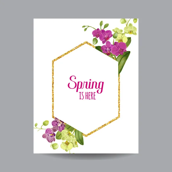 Hola Spring Tropic Design. Fondo de flores de orquídea tropical con marco de oro para póster, Banner de venta, Placard, Flyer. Composición Floral Vintage. Ilustración vectorial — Vector de stock