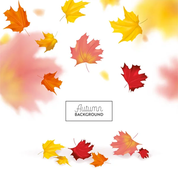 Fondo de otoño con hojas de arce rojo y amarillo. Plantilla de diseño de temporada de otoño de naturaleza para banner web, folleto, venta, póster. Ilustración vectorial — Archivo Imágenes Vectoriales