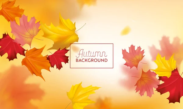 Herbst Hintergrund mit roten und gelben Ahornblättern. Natur Herbst saisonale Design-Vorlage für Web-Banner, Broschüre, Verkauf, Poster. Vektorillustration — Stockvektor