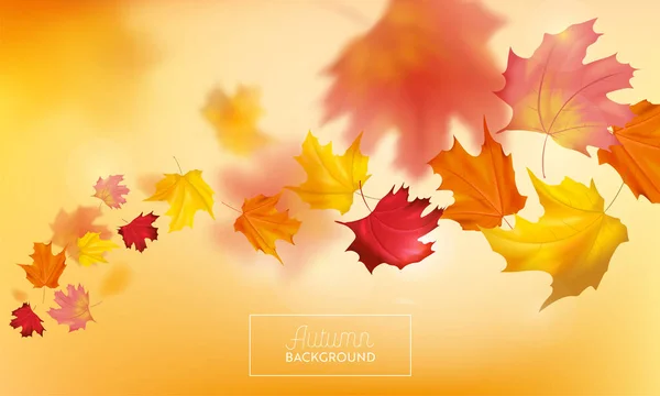 Fondo de otoño con hojas de arce rojo y amarillo. Plantilla de diseño de temporada de otoño de naturaleza para banner web, folleto, venta, póster. Ilustración vectorial — Archivo Imágenes Vectoriales