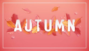 Güzel yaprakları ve yağmur damlaları, Web afiş, kart şablonu, duvar kağıdı, kapak, vektör davet için kağıt sanatı ile sonbahar illüstrasyon ile sonbahar arka plan şablonu