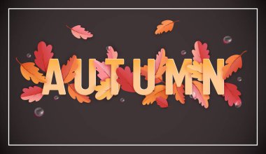 Güzel yaprakları ve yağmur damlaları, Web afiş, kart şablonu, duvar kağıdı, kapak, vektör davet için kağıt sanatı ile sonbahar illüstrasyon ile sonbahar arka plan şablonu