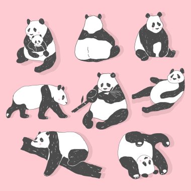 Sevimli Panda ayısı illüstrasyonlar, vektör topluluğu çizilmiş öğeleri, siyah ve beyaz simgeler el