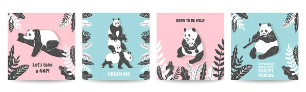 Bonito Panda urso ilustrações, Coleção de Posters de estilo simples, Capas, Cartões de aniversário, Impressão na parede em vetor — Vetor de Stock