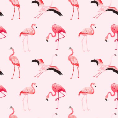 Tropikal Flamingo sorunsuz vektör yaz desen. Egzotik pembe kuş arka plan duvar kağıtları, web sayfası, doku, Tekstil için. Doğa Yaban Hayatı Fauna tasarım