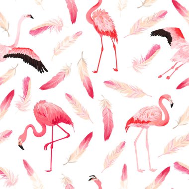 Tropikal Flamingo sorunsuz vektör yaz desen pembe tüylü. Egzotik pembe kuş arka plan duvar kağıtları, web sayfası, doku, Tekstil için. Hayvan yaban hayatı tasarım