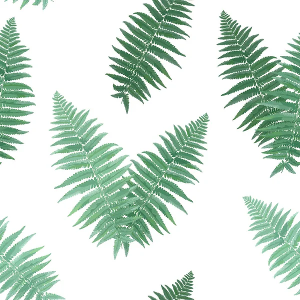 Herbs and Leaves Botanical Seamless Pattern. Fern Leaf Natural Background. Floral Forest Field Plants Design for Wallpaper Print Tropical Decoration. Vector illustration Royalty Free Stock Vectors