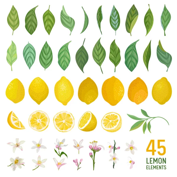 Ensemble d'éléments aquarelle de citrons, feuilles et fleurs pour affiches, bannières animées d'été, modèles de conception de couverture, histoires de médias sociaux, fonds d'écran de printemps. Illustration vectorielle — Image vectorielle