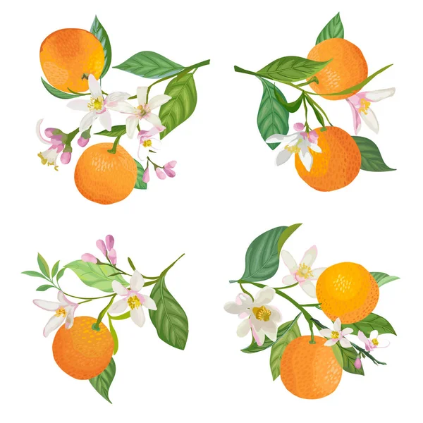 Aquarell-Orangen hängen an Zweigen mit Blättern und Blumen für Poster, Sommer-Zitrusbanner, Cover-Design-Vorlagen, Social-Media-Geschichten, Frühling Tapeten. Vektorillustration — Stockvektor