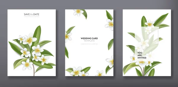 Minimalist floral tropical trendy greeting or wedding invitation card template design, set of poster, flyer, brochure, cover, party advertisement, tropic plumeria flowers in vector