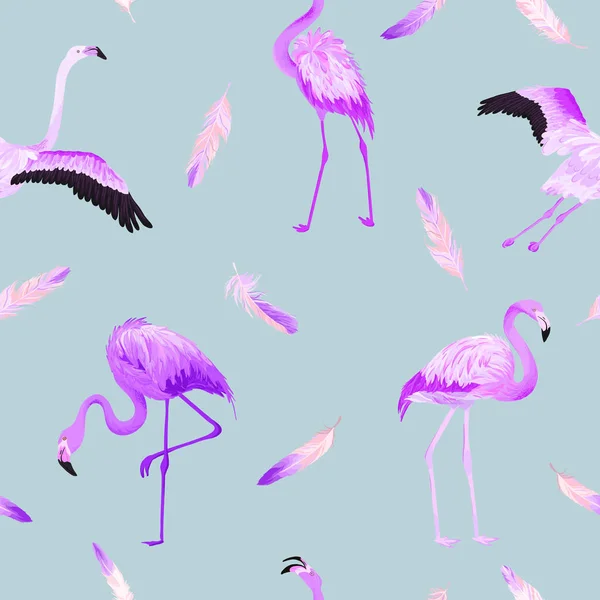 Tropical Flamingo bezszwowe lato wektor wzór z różowymi piórami. Tło ptaka do tapet, strony internetowej, tekstury, tekstylia. — Wektor stockowy