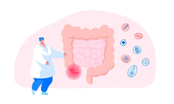 Dolor abdominal, enfermedad del sistema gastrointestinal. Médico o personaje médico Párate en enormes intestinos humanos con dolor Apéndice Infografías Ayuda a decidir la estrategia de tratamiento. Ilustración de vectores de dibujos animados — Vector de stock