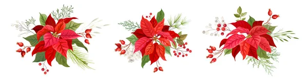 Christmas red poinsettia vector Flower. Winter plants, floral elements illustration watercolor concept on transparent background. Traditional xmas set of blooming bouquet green leaves and red petals — Stock Vector