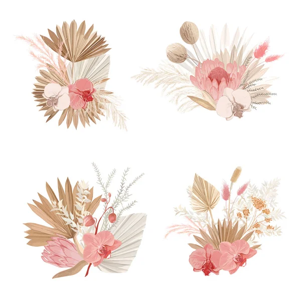 Luxury dried bouquets, dry protea flowers, tropical palm leaves, pale orchid, eucalyptus, floral elements.Trendy winter, autumn wedding concept vintage decoration. Vector isolated illustration set — Stock Vector