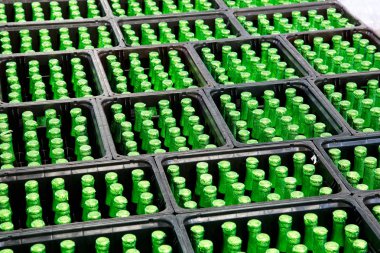 Yeşil şişe bira kasaları içinde bir grup