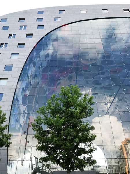 Γιγαντιαίο Παράθυρο Markthal Διάσημη Αγορά Αίθουσα Στην Καρδιά Του Ρότερνταμ — Φωτογραφία Αρχείου