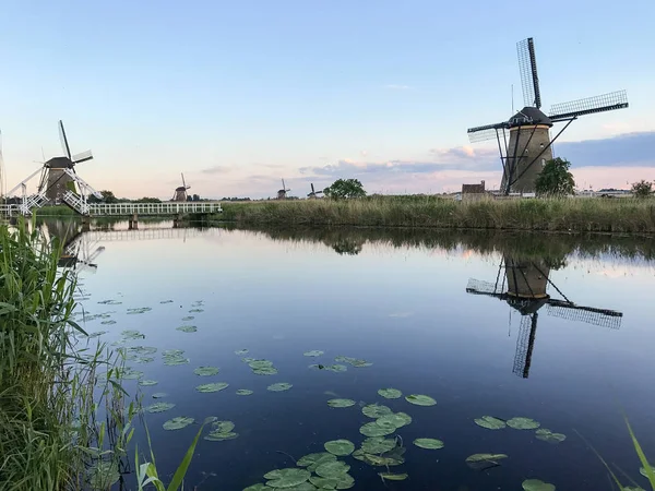 Mooie Nederlandse Windmolen Liggend Beroemde Grachten Van Kinderdijk Unesco Werelderfgoed — Stockfoto