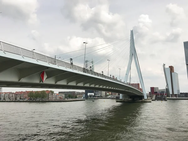 Rotterdam Skyline Erasmusbrug Bridge Países Baixos — Fotografia de Stock