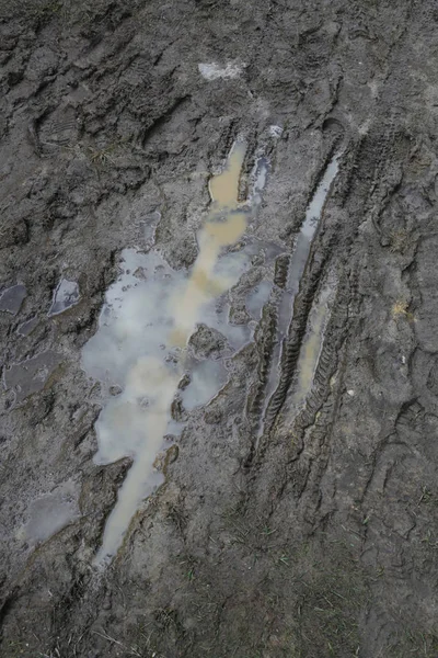 ぬれた泥の中でマウンテンバイクの痕跡 — ストック写真