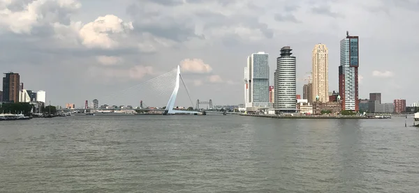 Rotterdam Skyline Erasmusbrug Bridge Netherlands — Stock Photo, Image