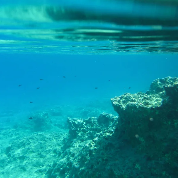 Съёмки Прекрасного Подводного Мира Греции — стоковое фото
