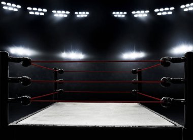 View of professional boxing ring  clipart
