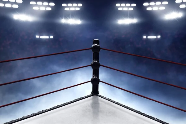 View Professional Boxing Ring — Stock Photo, Image