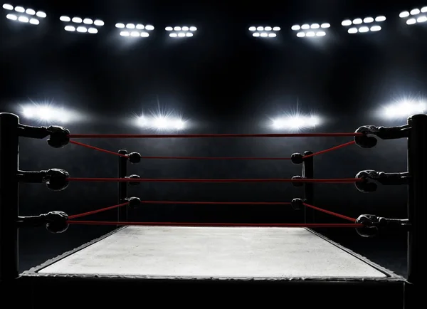 View Professional Boxing Ring — Stock Photo, Image