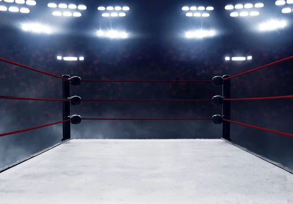 View Professional Boxing Ring — Stock Photo, Image