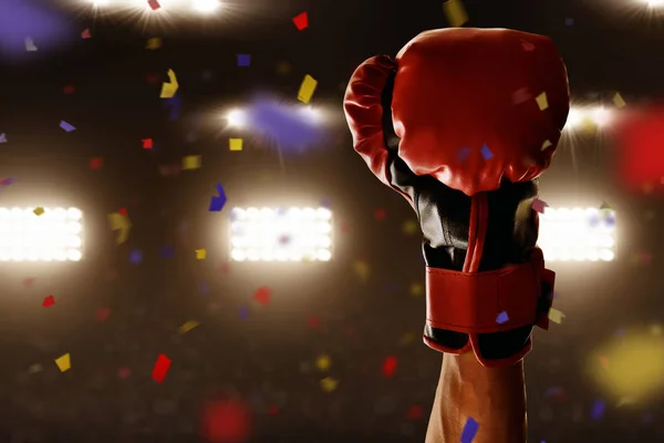 Boxer Megnyerte Mérkőzést — Stock Fotó