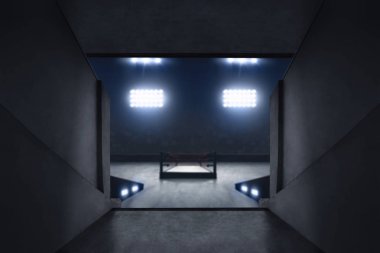 Arena giriş boks görünümü