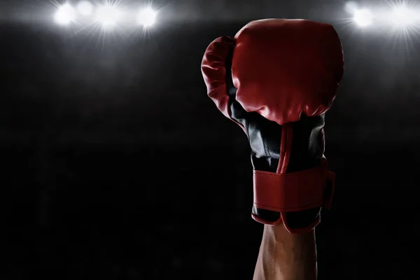 Boxer Winning Match — Stock Photo, Image